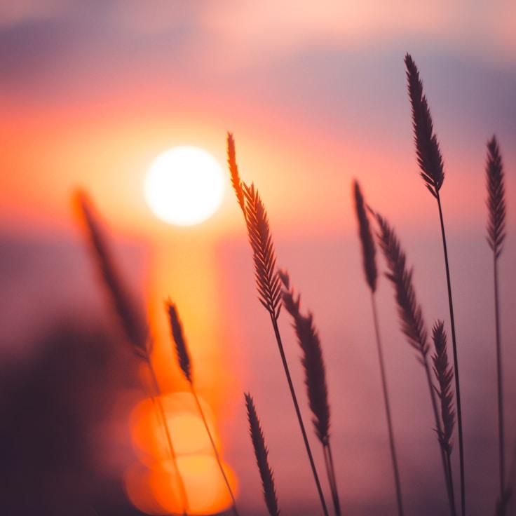 Nature travel hero image